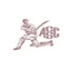 Alescon Comets SC