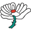 Yorkshire Women