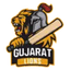 Gujarat Lions